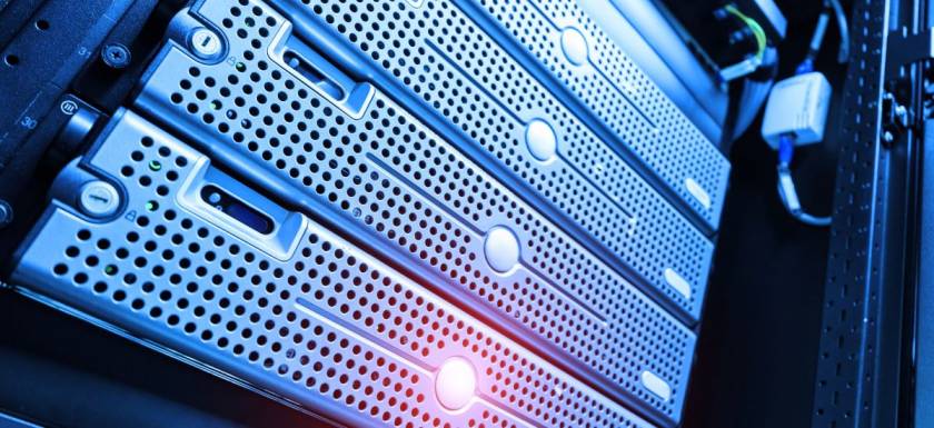 IT Talent 2030: Why Flexibility and Niche Skills Will Dominate Outsourcing